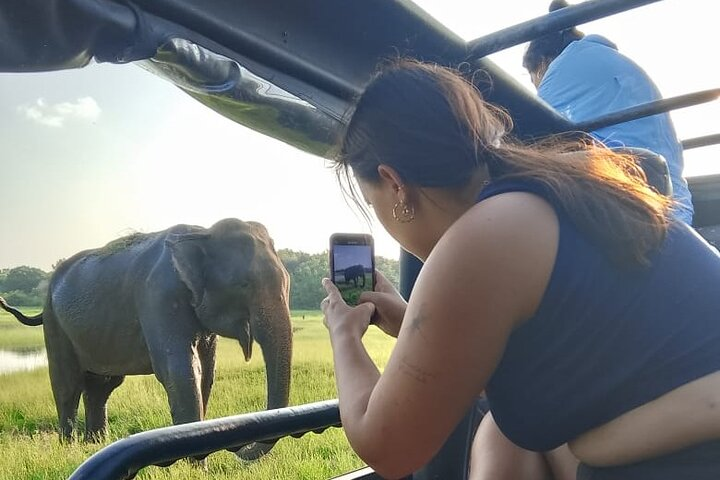 Minneriya National Park Elephant Jeep Safari Private Tour - Photo 1 of 25